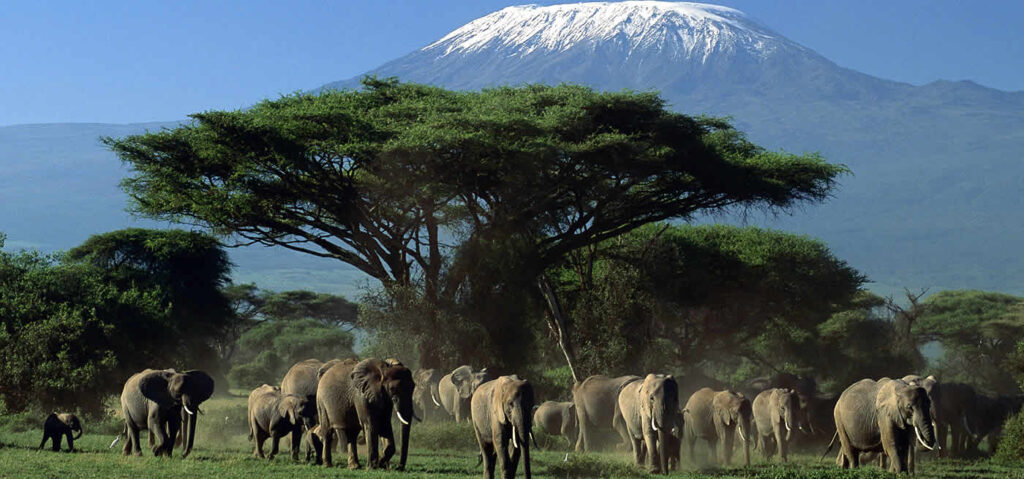 Amboseli-national-park 011