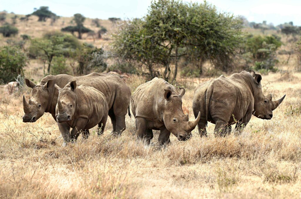 Laikipia-Plateau