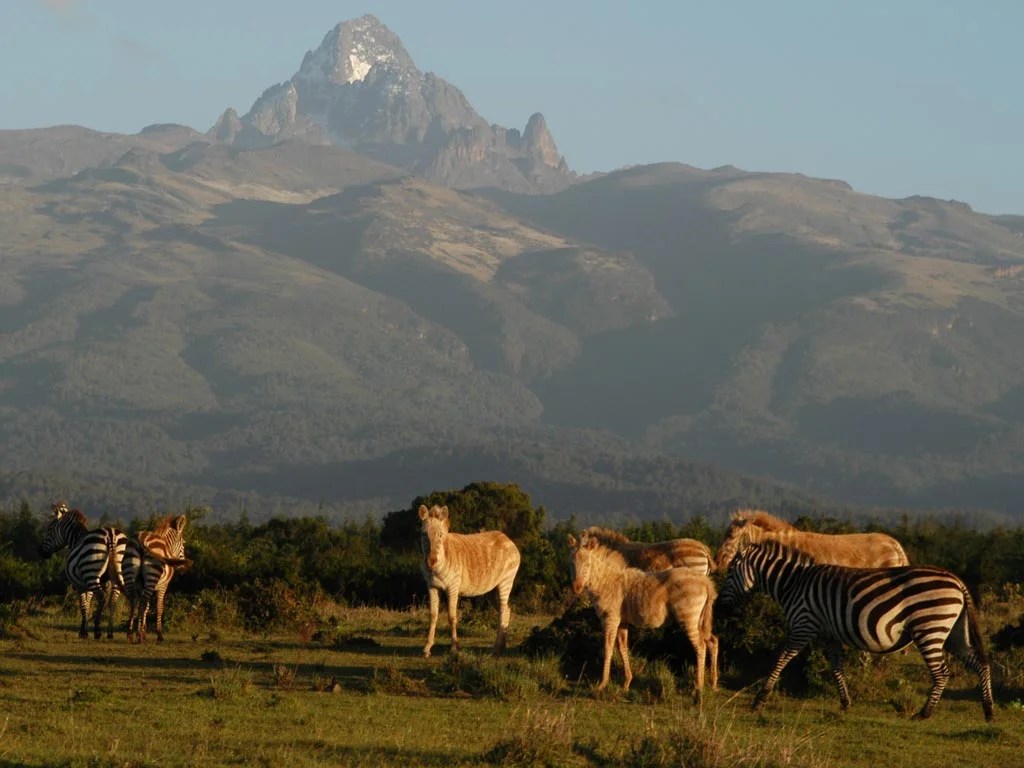 Mount-Kenya-National-Park001