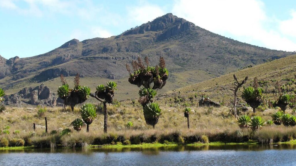 Mt. Elgon National Park