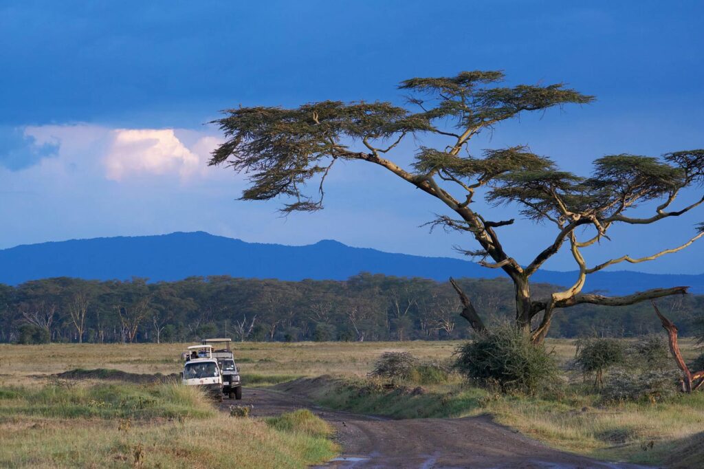 Saiwa Swamp wildlife-tour-kenya