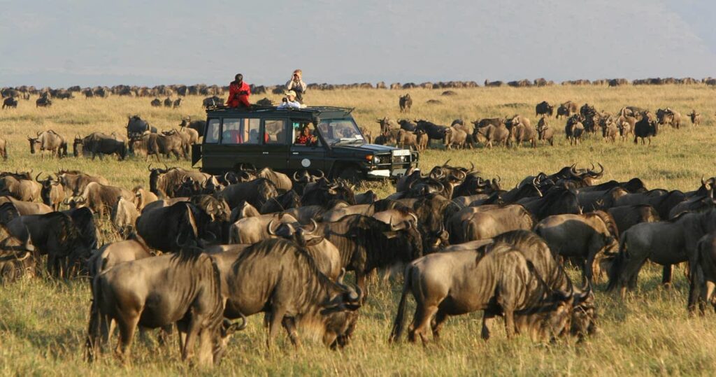 great-migration-masai-mara-national-reserve-safari