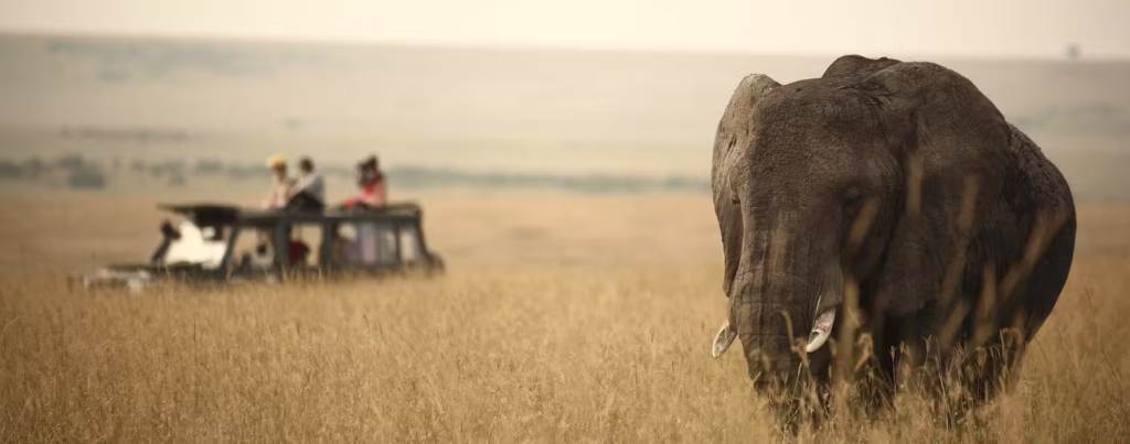 rekero-camo-maasai-mara-kenya-10-min