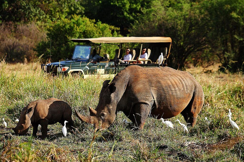 rhino-sactuary-meru-national-park-