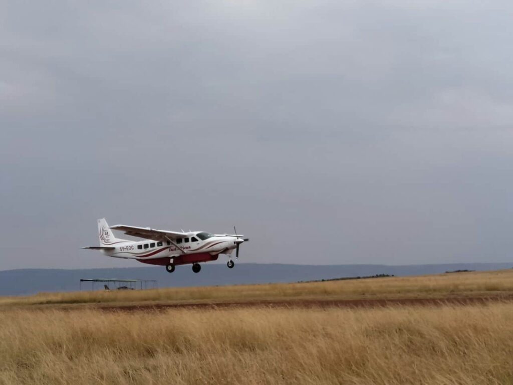 African-Wildlife-Safari-69