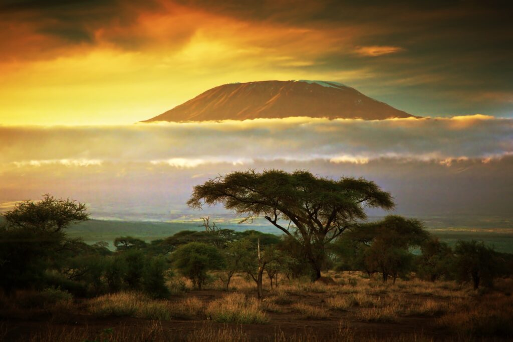 Amboseli 012