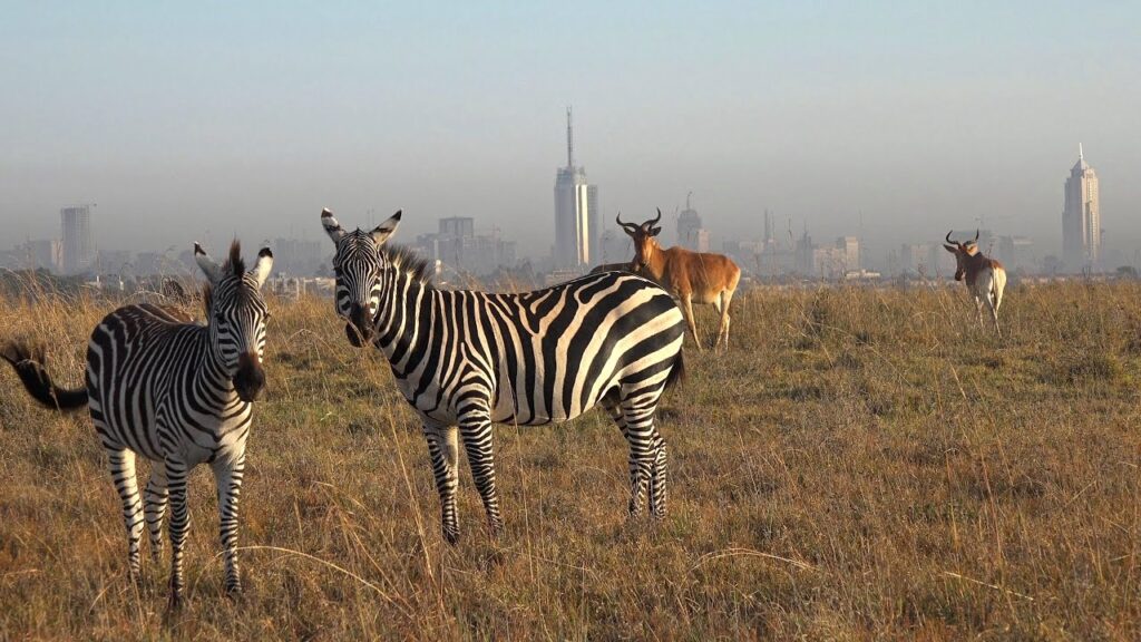 Nairobi-National-Park