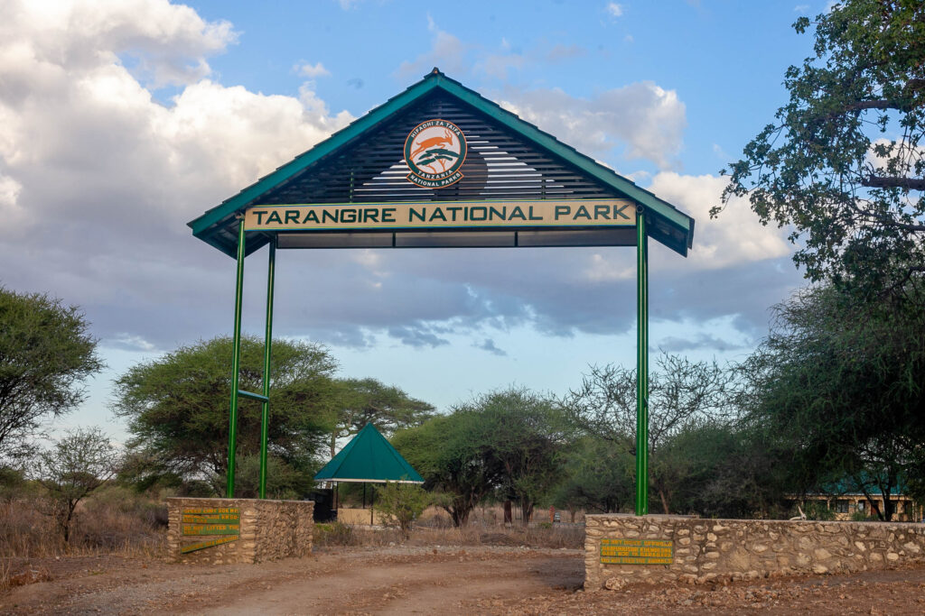 Tarangire National Park 01