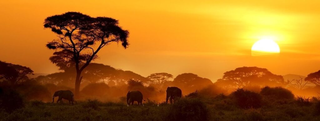 amboseli-national-park-getty