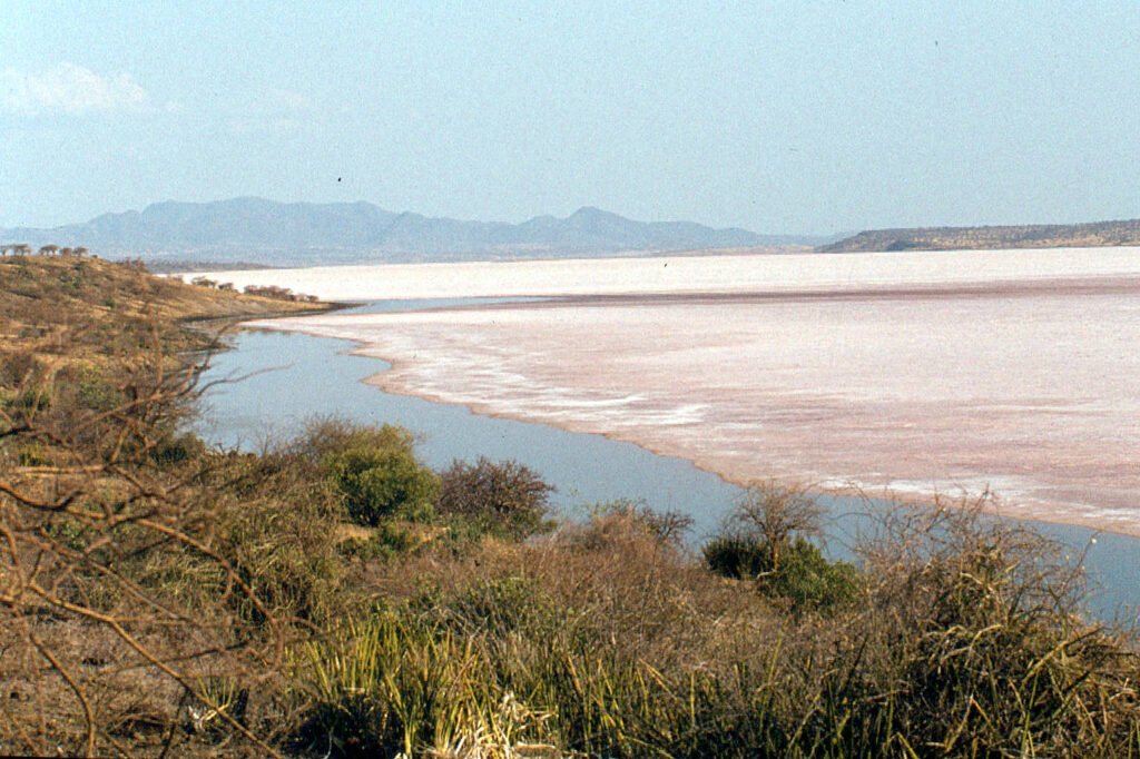 lake magadi