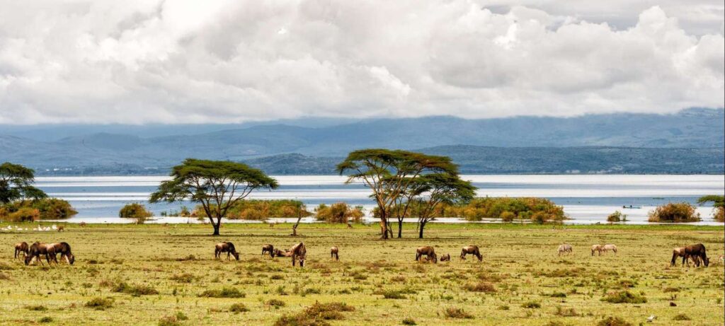 lake_naivasha