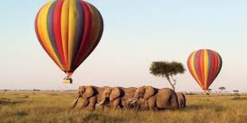 maasai-mara-private-tour_PEik5