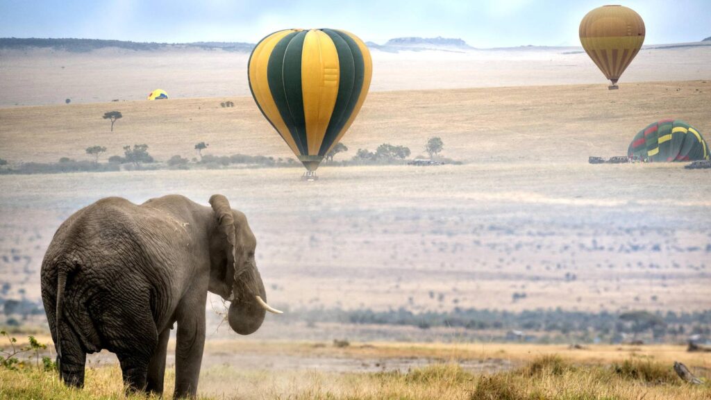 maasai_mara_national_reserve_1_1-5