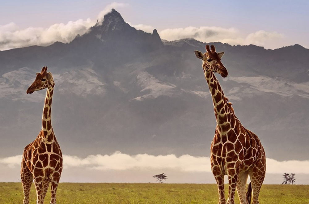 mt-kenya-national-park-gallery3