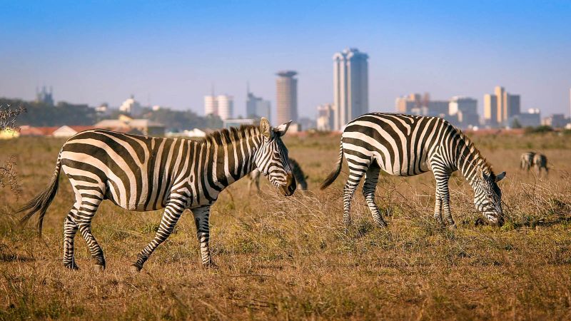 nairobi skyline