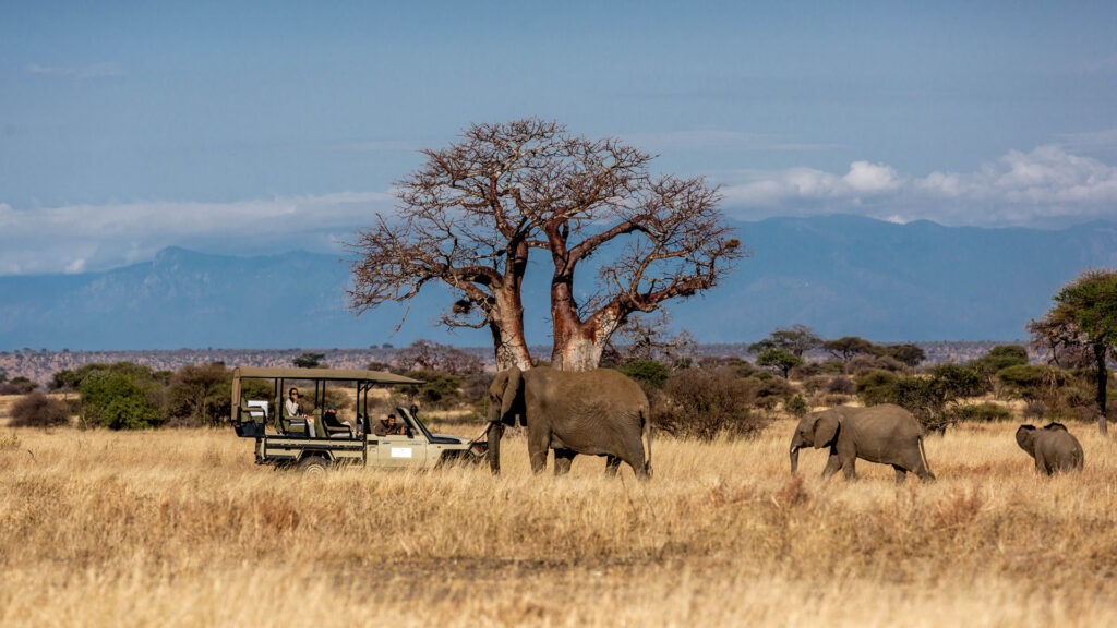 tarangire-national-park1